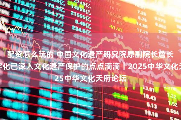 配资怎么玩的 中国文化遗产研究院原副院长詹长法：数字化已深入文化遗产保护的点点滴滴｜2025中华文化天府论坛