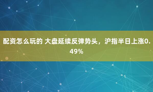 配资怎么玩的 大盘延续反弹势头,沪指半日上涨0.49%